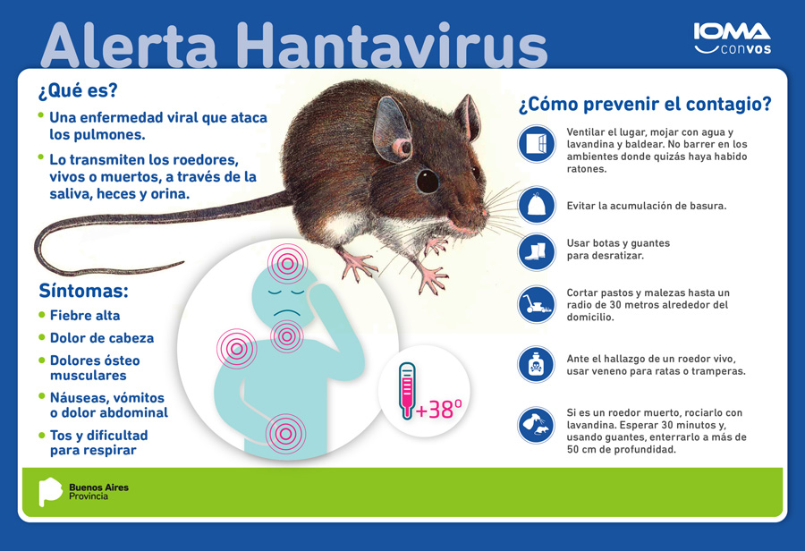 hanta virus 1