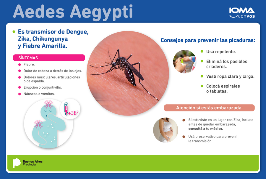 campaña dengue